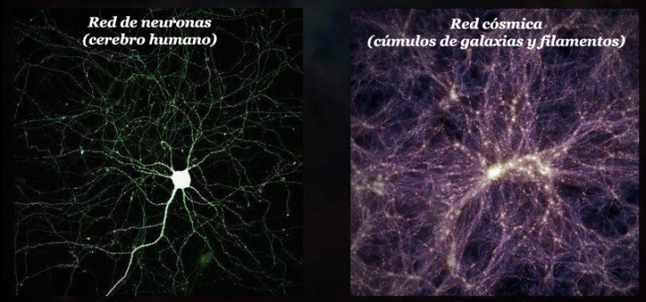 Comparación de una célula del sistema nervioso y un cúmulo de galaxias